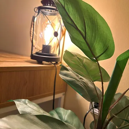 Elia Old Mansion Case de vacanță *