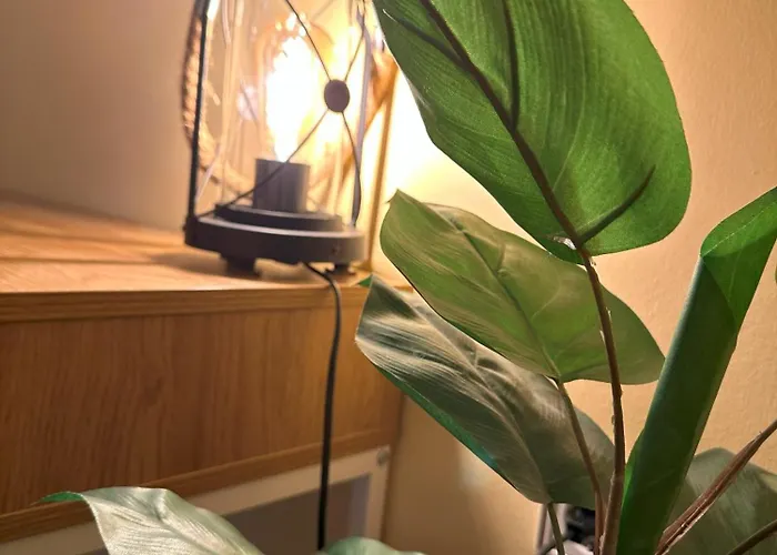 Elia Old Mansion 度假居 *